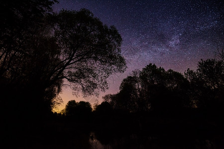 黑暗的户外树木星空在湖上和树图片