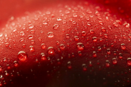 露周年纪念日花园红瓣加上水滴图片