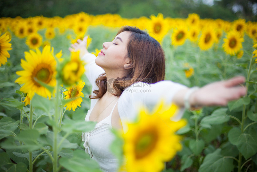 向日葵田中的年轻亚洲女孩图片