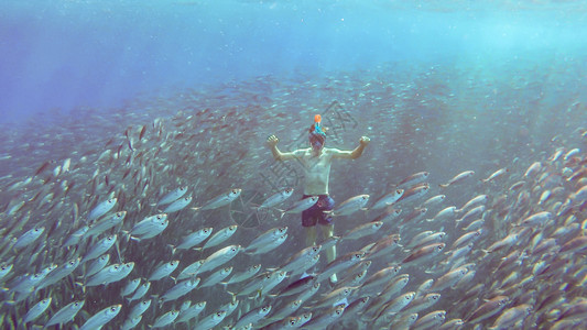 无数封闭式游泳的年轻男青周围环绕着上百万条鱼或诱饵球学校背景图片
