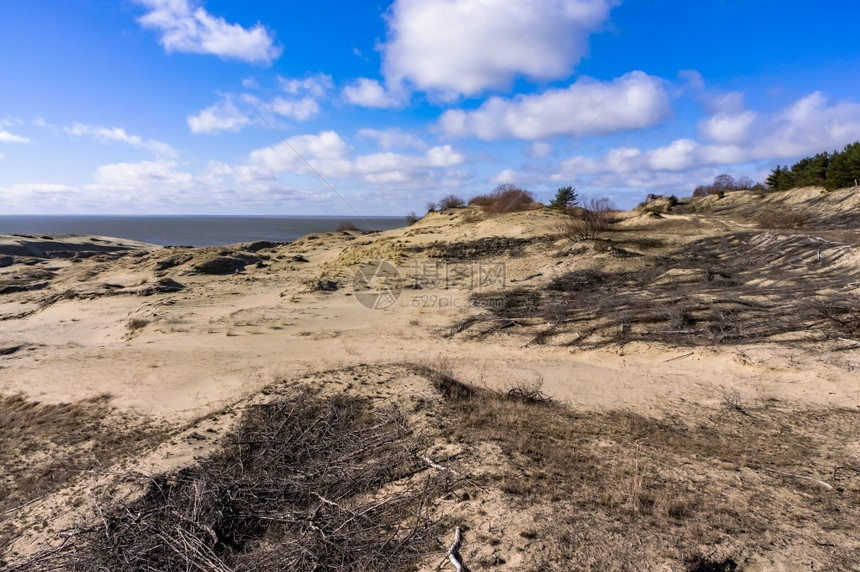 景观加里宁格勒俄罗斯高沙丘风景如画的海岸波罗库尔斯沙嘴波罗的海沿岸高沙丘图片