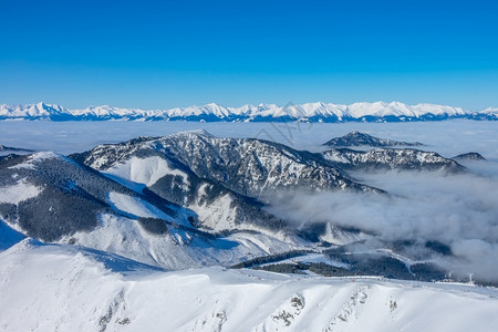 冬季雪景风光背景图片