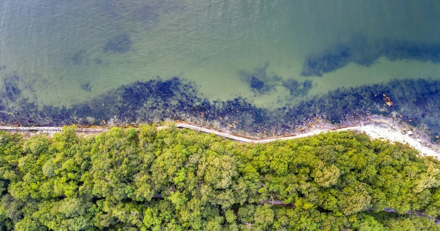 海景从无人驾驶飞机到海岸线的空中最高视海面上覆盖着绿林景观树木图片