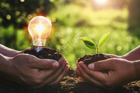 年轻的手握植物和小灯泡概念节约能源生态地球日节省商业图片