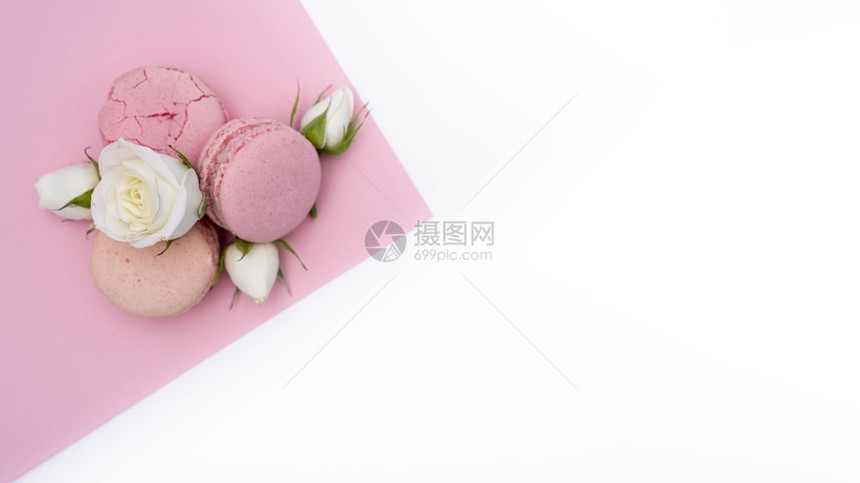 粉色的天装有复制空间的玫瑰花粉彩图片