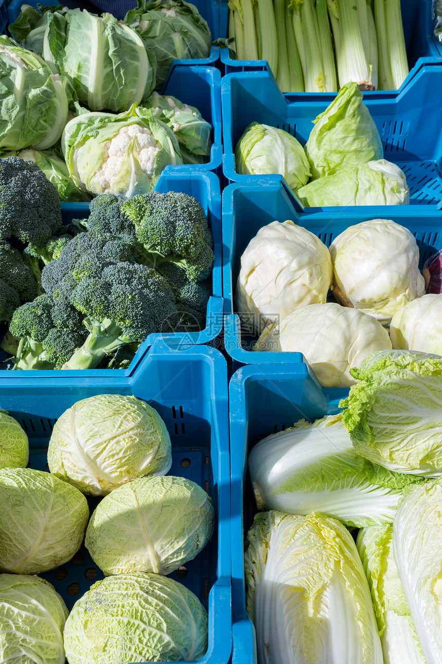 蓝色的芹菜区域将绿色和白卷心菜作为蔬混杂在市场上的蓝箱中蔬菜图片