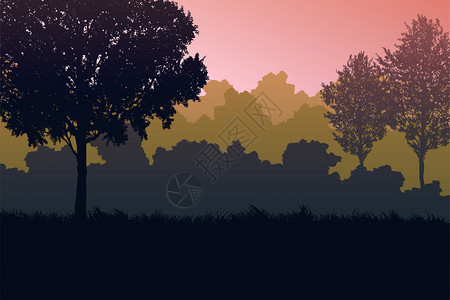 树叶薄雾太阳自然林丛橙色地平线树风景壁纸日出和落说明矢量样式图表背景图片