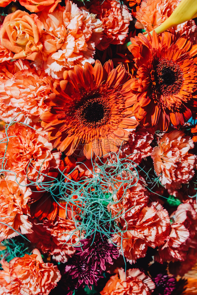 色彩多的花朵背景图像有色花束重点图片