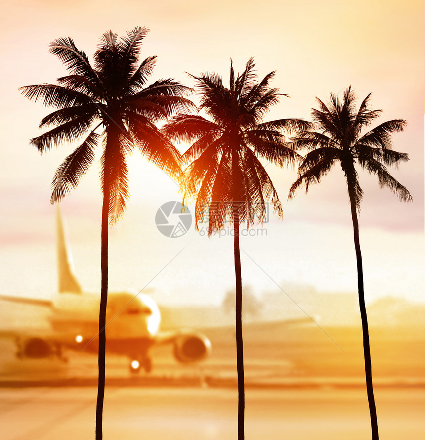 巴厘岛日落时光照亮机场附近棕榈树的周光自然日出图片