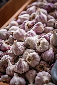 农业丁香盒子紫色和白中大蒜散装物的皮囊图片