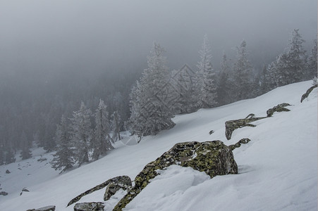 自然气候山冬季风景坡上雪覆盖的雨林乡村图片