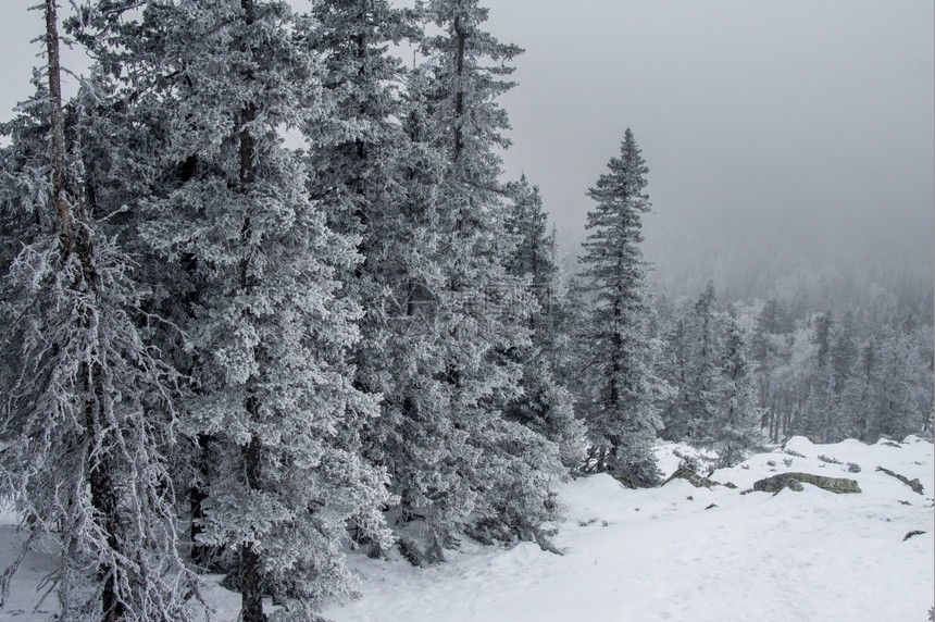 冬季雪景风光图片