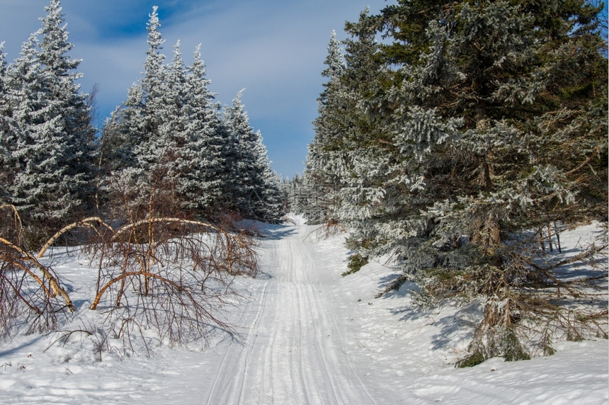 天空白雪皑山冬季风景坡上雪覆盖的雨林自然图片