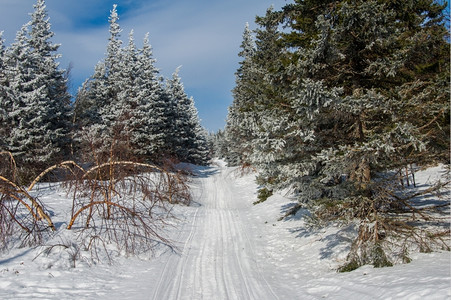 天空白雪皑山冬季风景坡上雪覆盖的雨林自然高清图片