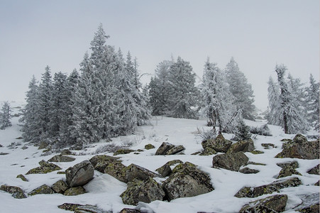 温度山冬季风景坡上雪覆盖的雨林暴风雪季节图片