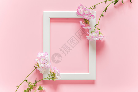 粉色鲜花与白色相框图片