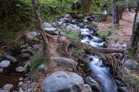 卡科佩特里亚树木流动的塞浦路斯Troodos的Kakoopetria森林中流过岩石山地的纯净水流缓慢给人造成顺流印象镇定背景