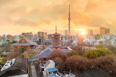宝塔东京天际之景日本落黄昏时与森素济寺和东京天树相见神社宗教图片