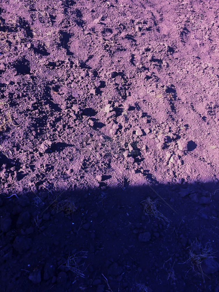 晨园田间地表天然抽象背景的大地金沙或干土泥质素月亮花园田间地表自然抽象背景的食物灰尘图片