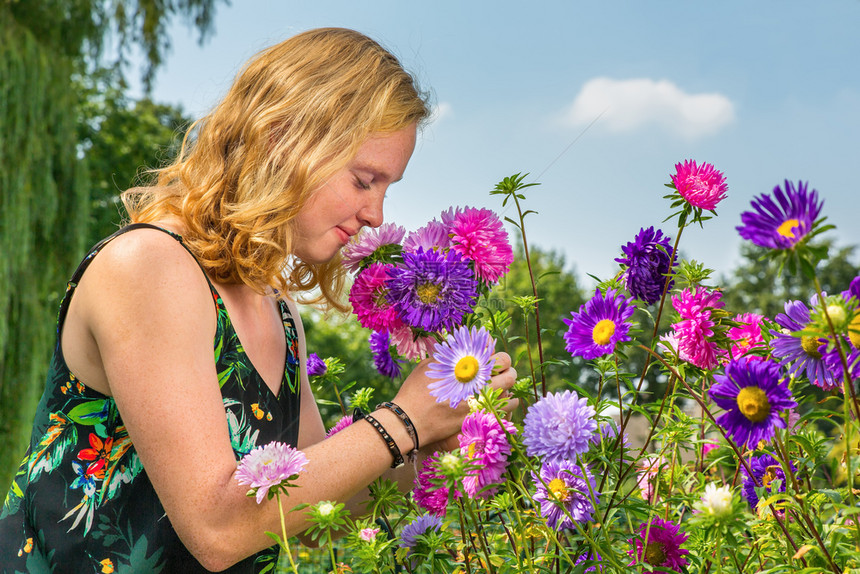 在花园里闻着夏香味的年轻荷兰女红发姑娘花朵士紫色的图片