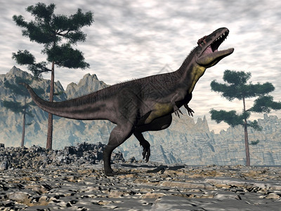 恐龙头插图暴龙恐高头咆哮3D使暴龙恐怒吼3D使天空尾巴设计图片