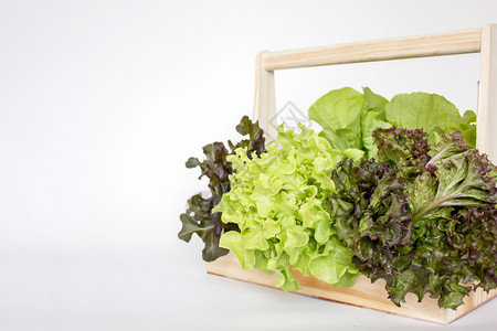 种类一将新鲜绿色蔬菜安排在篮子里市场图片