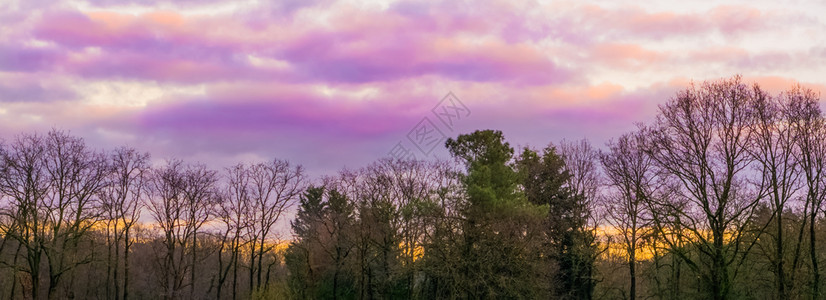 季节大气层民事天现象空中的粉红和紫极平流层云森林地貌背景情况图片