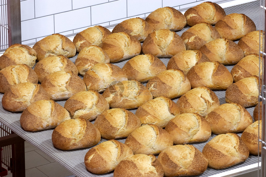 系统面包生产工业干线加生产艺烘烤的活图片