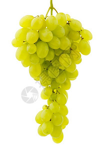 绿色黄的食物和饮料单串新鲜成熟的葡萄单串图片