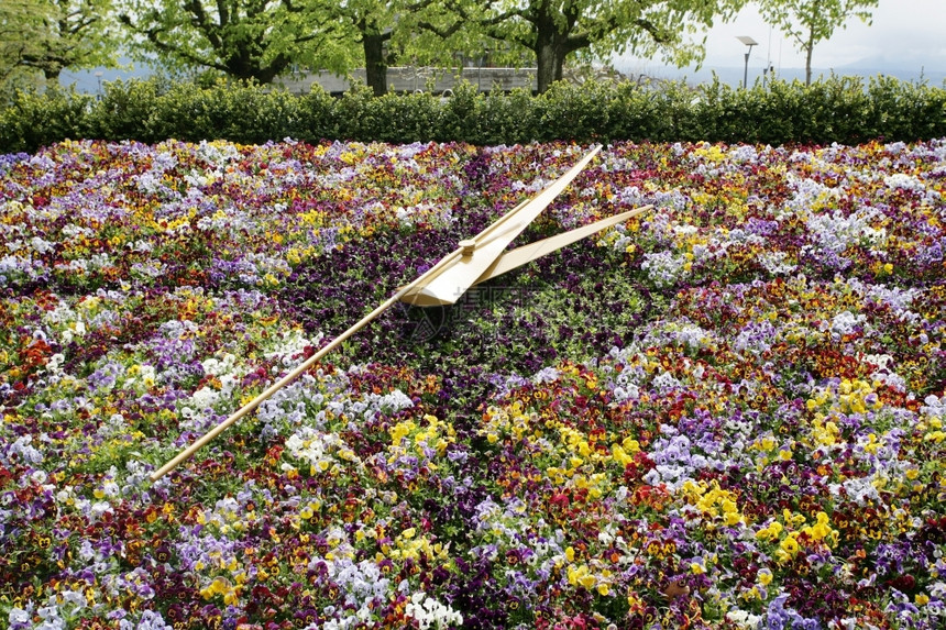 著名的花钟瑞士日内瓦标志地有机的明亮丰富多彩图片