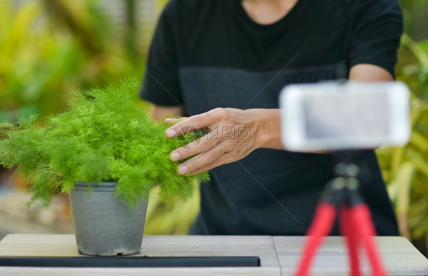 电话聪明的VLogger在线培训用于Cactus种植和家庭园艺在上网工作记录器图片