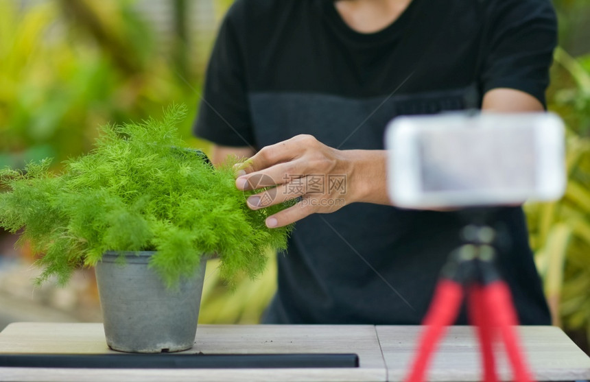 播送电话VLogger在线培训用于Cactus种植和家庭园艺在上网工作训练图片