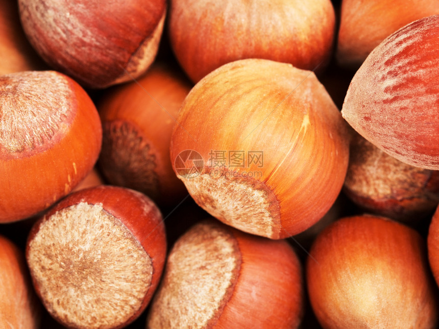 食用难的榛贝壳中原胡桃子食物背景的黑桃子图片