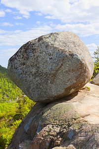 森林山地景观美丽树干图片