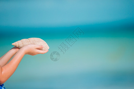 和平异国情调白贝壳在海洋背景的手中用石头制作的心脏符号富有表现力的图片