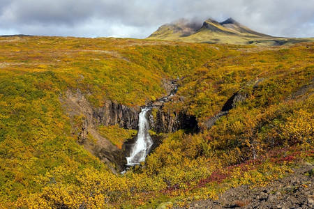 史克卡瀑布斯堪的纳维亚语峡谷落下冰岛的斯瓦尔蒂弗由黑色玄武岩熔六角柱环绕的戏剧瀑布背景