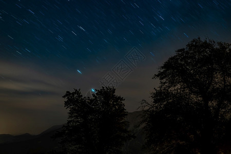 繁星点有雾美丽的隔绝树木光环图夜晚与起动扶轮图片