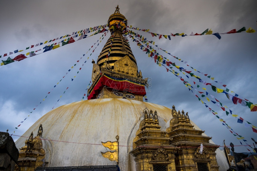 动物Swayambhunahath或猴子寺庙是尼泊尔加德满都一座山丘上的古老宗教建筑学爬坡道图片