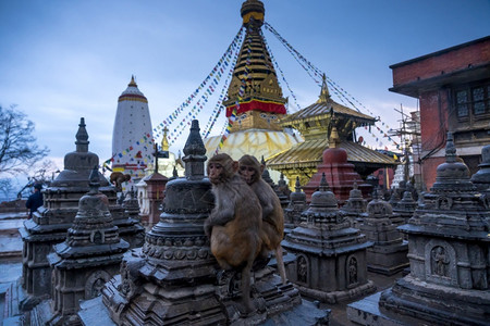 尼泊尔猴子金的Swayambhunahath或猴子寺庙是尼泊尔加德满都一座山丘上的古老宗教建筑斯瓦扬布纳特眼睛背景