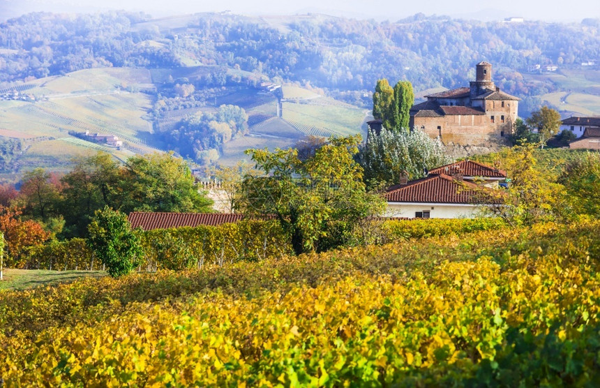 酒厂农业落下意大利皮埃蒙特的美丽葡萄园和中世纪城堡图片