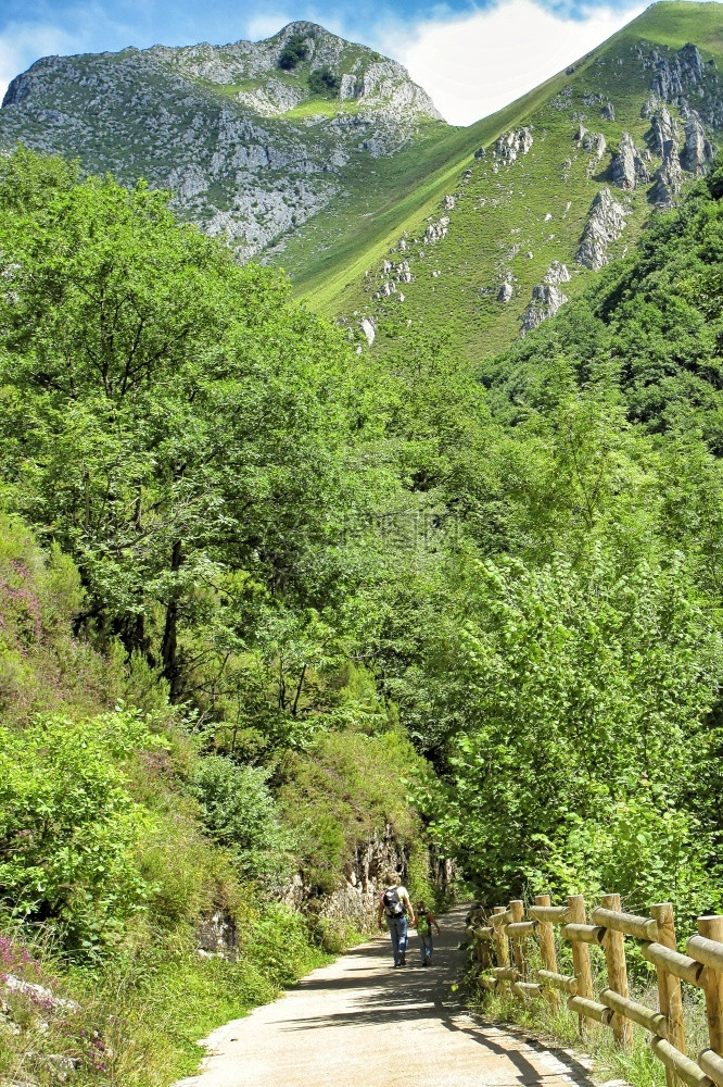爬坡道Trekkingthroougth山和谷Redes自然公园阿斯图里亚公国阿图里亚西班牙欧洲景观雷德斯图片