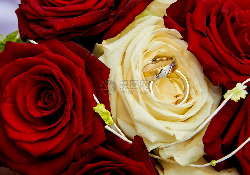 蜜月手带有玫瑰和戒指的婚礼花束家庭图片