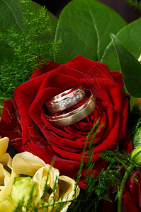 浪漫的带有玫瑰和戒指的婚礼花束家庭未来图片