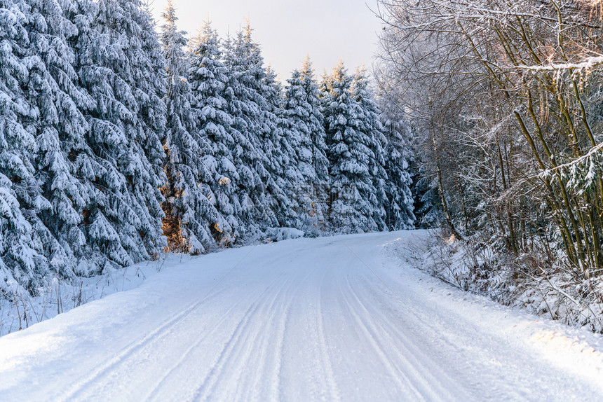 团结树自然冬季风景清晨寒冷阳光明媚时雪覆盖森林中的山地道路图片