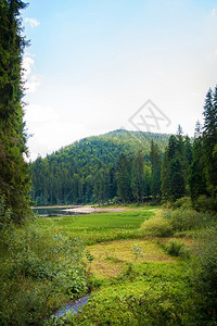蓝湖和山的美丽景色蓝湖和山的美丽景色东水夏天图片