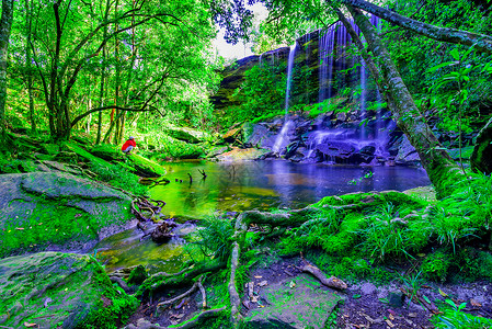 旅游假期泰国PhuKradueng公园深林中美丽的热带雨林瀑布泰国森图片
