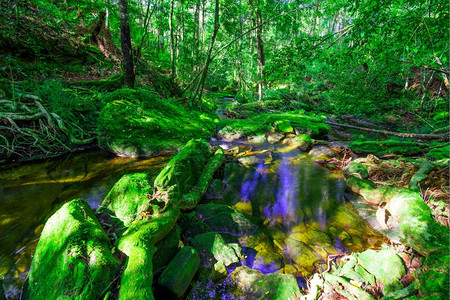 泰国PhuKradueng公园深林中美丽的热带雨林瀑布泰国旅游翠山图片