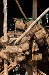 在柬埔寨的木棍上吊钓鱼捕捉木棍海外部贝类图片