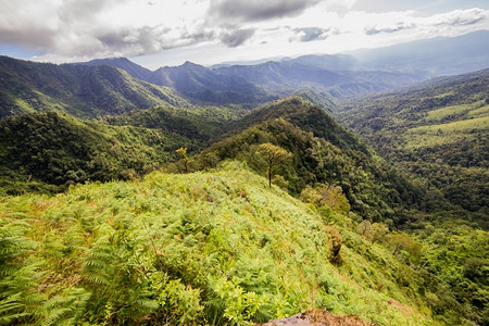 绿化闪电色亚热带雨林和山区图片