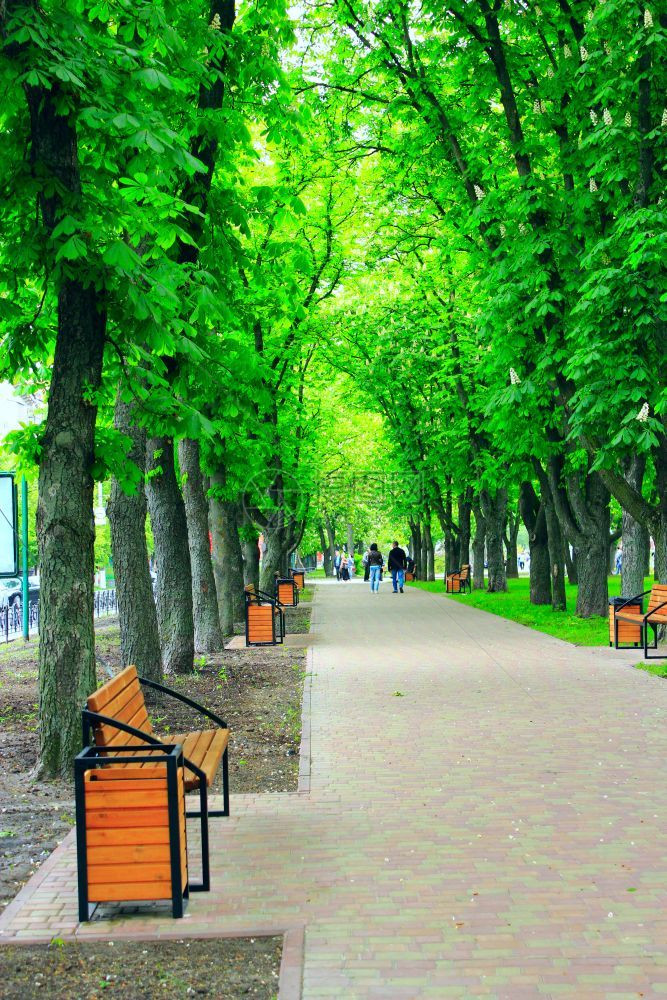 自然小路木头城市公园配有前门车道长椅和绿树大美丽的城市公园配有漂亮的前门车道长椅和绿树图片